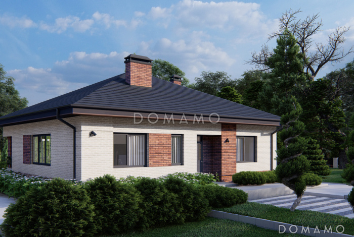 Проект загородного дома с террасой, двумя санузлами, кухней и гостиной без перегородки