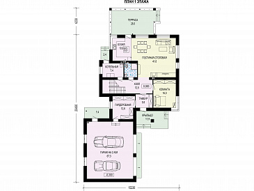 Проект загородного дома с гаражом на две машины, террасой, отдельной гардеробной при входе / План 1 этажа