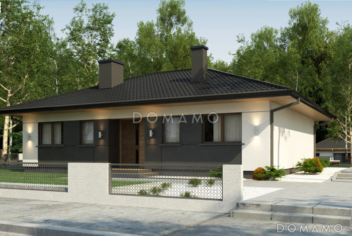 Проект одноэтажного дома с функциональной планировкой, светлыми помещениями, хозяйской спальней, гостиной с камином