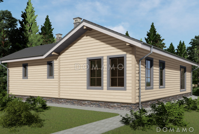 Проект одноэтажной бани с бильярдной и кухней-столовой