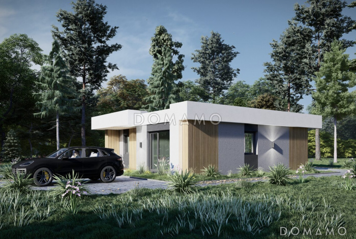 Дом за 100 дней 